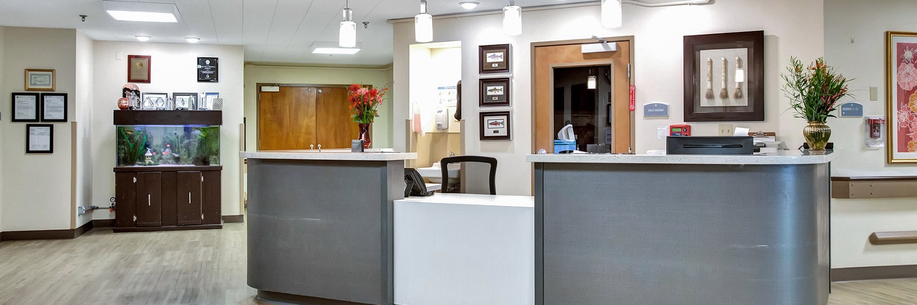 Desktop Background Image