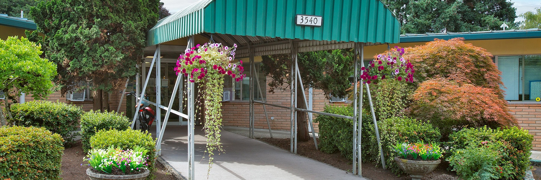 Desktop Background Image